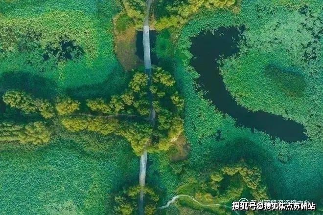 盘评测-鹿溪雅园售楼中心详情户型 小区配套九游会J9鹿溪雅园售楼处欢迎您 2025楼(图5)