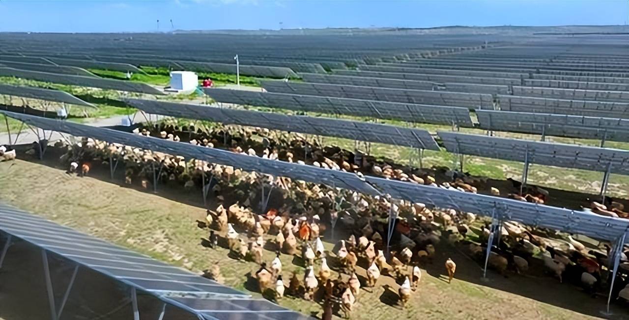 亿修建的发电厂10年后竟然便宜给了羊J9国际网站闹“乌龙”了！我国耗资三(图2)