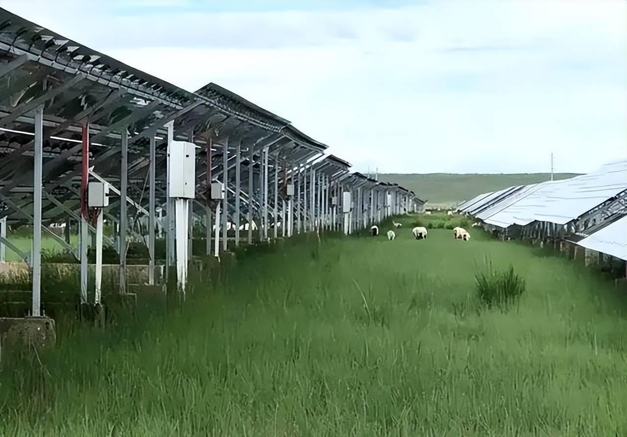 亿修建的发电厂10年后竟然便宜给了羊J9国际网站闹“乌龙”了