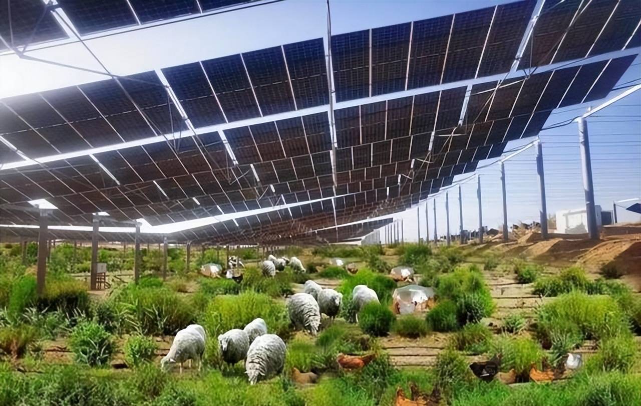 亿修建的发电厂10年后竟然便宜给了羊J9国际网站闹“乌龙”了！我国耗资三(图4)