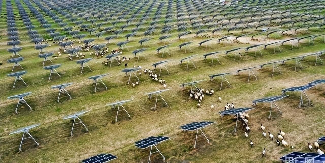 亿修建的发电厂10年后竟然便宜给了羊J9国际网站闹“乌龙”了！我国耗资三(图8)