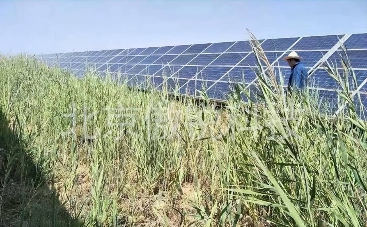 亿修建的发电厂10年后竟然便宜给了羊J9国际网站闹“乌龙”了！我国耗资三(图9)